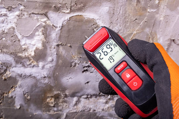 Zilwaukee, MI Mold Remediation Company